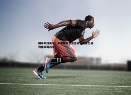 BBIN真人-国米防线喜讯，邓弗里斯恢复合练，有望出战河床关键战役