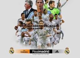 BBIN真人-罗家双胞胎兄弟闪耀俱乐部联赛，携手征战绿茵场，共筑并肩作战梦想