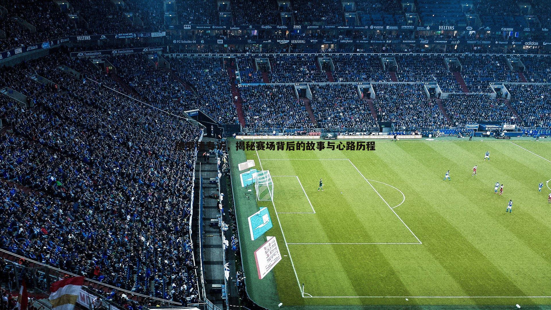 施罗德专访，揭秘赛场背后的故事与心路历程